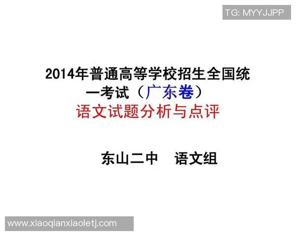 成都排球队在全国锦标赛中的技术表现分析与点评